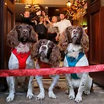The Temperance Inn, - The Collection Group 3* Ambleside