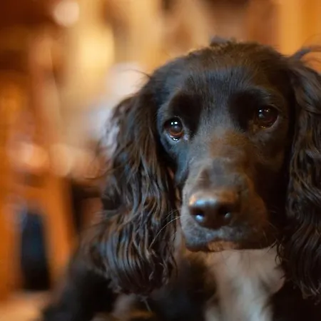 Zajazd The Temperance Inn, - The Collection Group